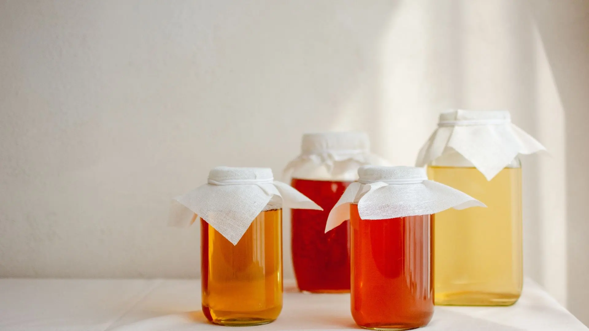 Kombucha Kombucha