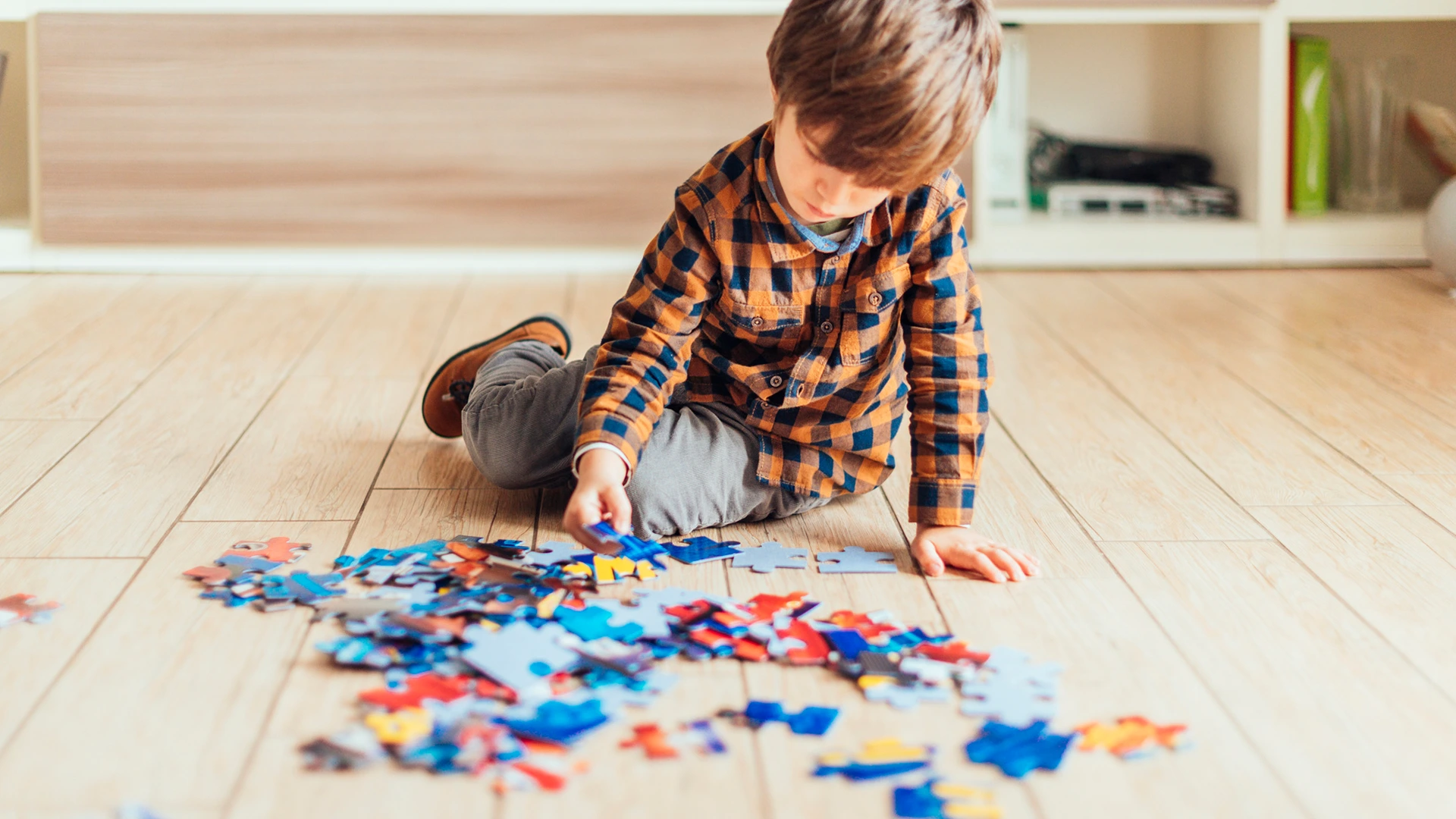 Jigsaw Puzzles With 100 Pieces